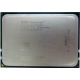 AMD Opteron 6128 OS6128WKT8EGO (Оренбург)
